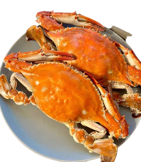 Full-Roe Swimming Crab, Rich Roe In Every Single Crab